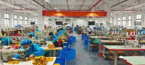 大化成功举办第二届防护制品技能大赛 聚焦软件开发与技术转让创新