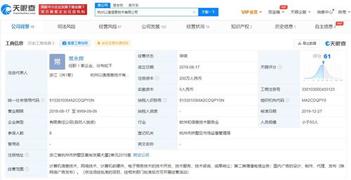 软件开发与技术转让 驱动创新与共赢