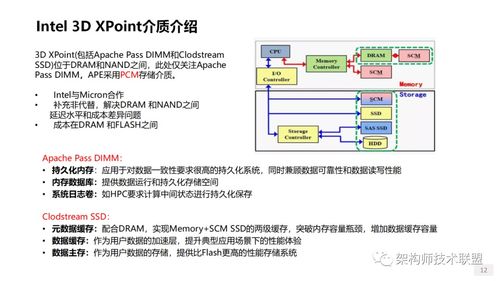 存储系统 技术创新、软件开发与未来趋势